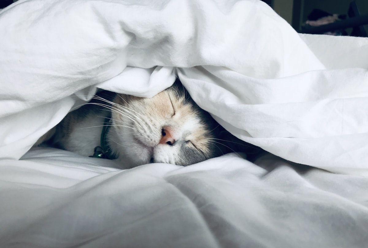 Sleep Health
