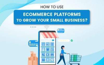 How to Use Ecommerce Platforms to Grow Your Small Business?